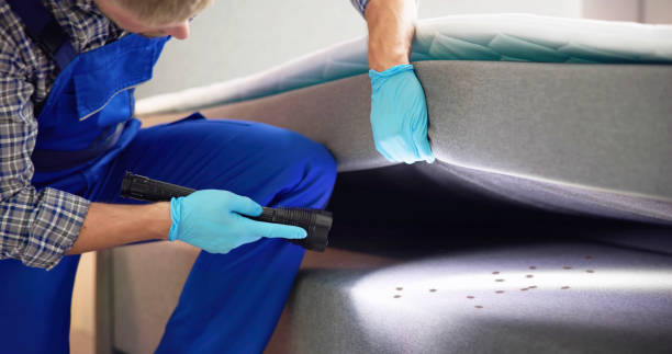  Tenafly, NJ Pest Control Pros