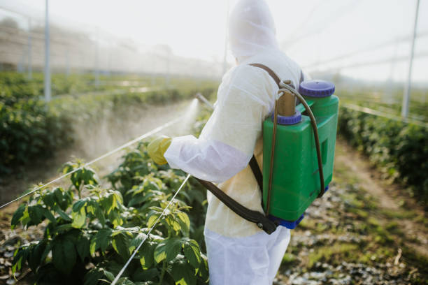 Best Emergency Pest Control  in Tenafly, NJ